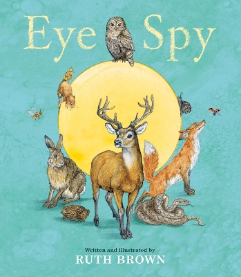 Eye Spy book