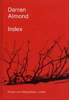 Darren Almond: Index book