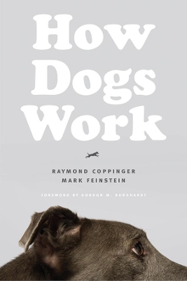 How Dogs Work book