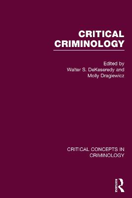 Critical Criminology book