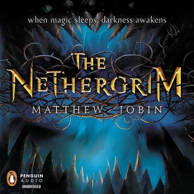 The Nethergrim: Book 1 book