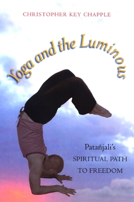 Yoga and the Luminous book