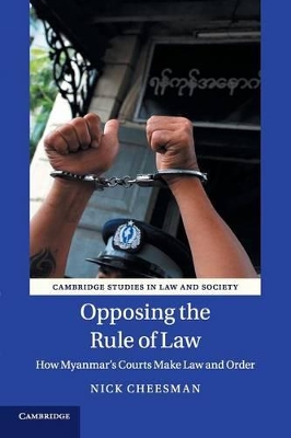 Opposing the Rule of Law by Nick Cheesman
