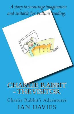Charlie Rabbit - The Visitor book