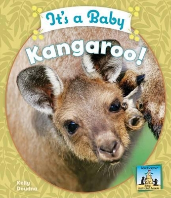 It's a Baby Kangaroo! by Kelly Doudna