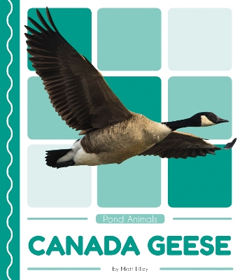 Pond Animals: Canada Geese book