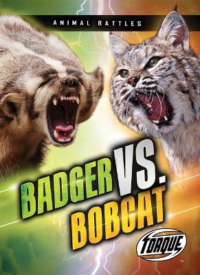 Badger vs. Bobcat by Kieran Downs