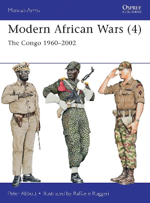 Modern African Wars 4 book