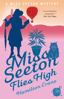 Miss Seeton Flies High book