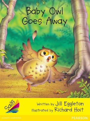 Baby Owl Goes Away book