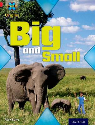 Project X Origins: Red Book Band, Oxford Level 2: Big and Small: Big and Small book