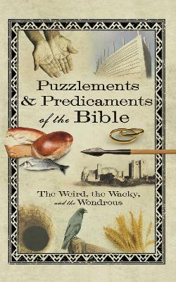 Puzzlements & Predicaments of the Bible book