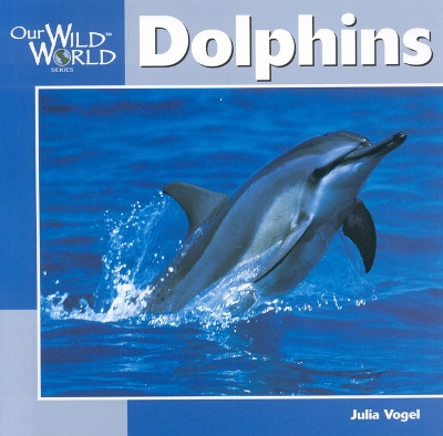 Dolphins book