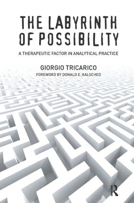 Labyrinth of Possibility book