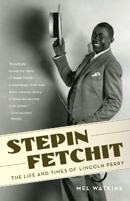 Stepin Fetchit book
