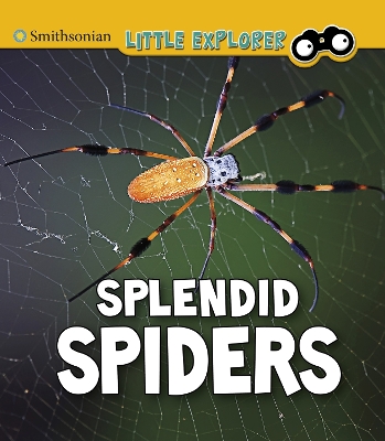 Splendid Spiders by Melissa Higgins