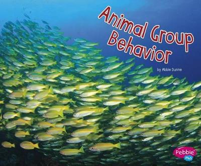 Animal Group Behavior by Abbie Dunne