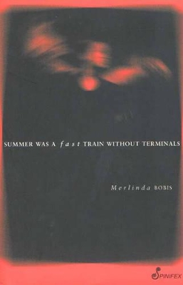 Summer Was a Fast Train without Terminals book