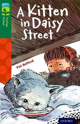 Oxford Reading Tree TreeTops Fiction: Level 12 More Pack B: A Kitten in Daisy Street book