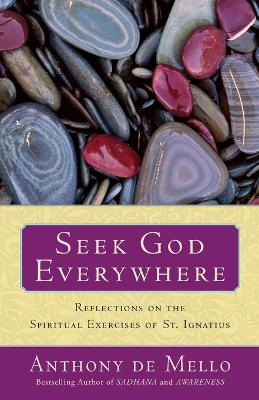 Seek God Everywhere book