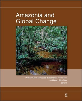 Amazonia and Global Change book