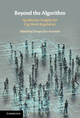 Beyond the Algorithm: Qualitative Insights for Gig Work Regulation book