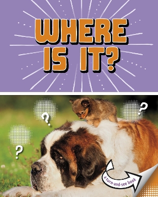 Where Is It?: A Turn-and-See Book by Cari Meister