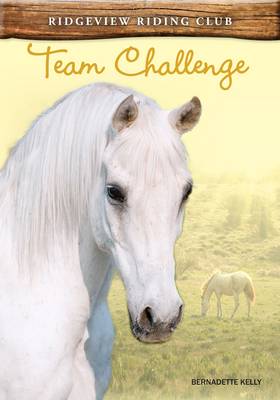Team Challenge by Bernadette Kelly