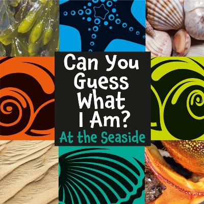 Can You Guess What I Am?: At the Seaside by J.P. Percy