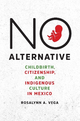 No Alternative: Childbirth, Citizenship, and Indigenous Culture in Mexico book