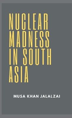 Nuclear Madness in South Asia book
