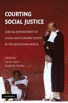 Courting Social Justice book