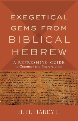 Exegetical Gems from Biblical Hebrew: A Refreshing Guide to Grammar and Interpretation book