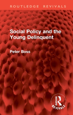Social Policy and the Young Delinquent book