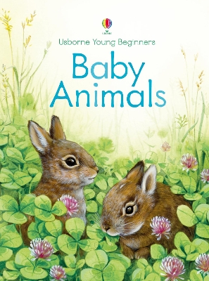 Young Beginners Baby Animals book