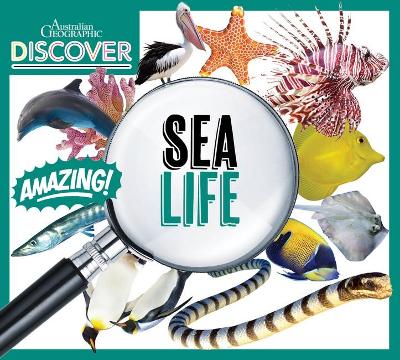 Australian Geographic Discover: Sea Life book