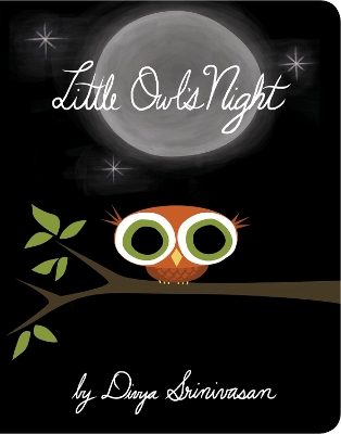 Little Owl's Night book