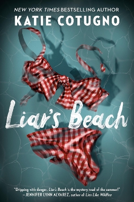 Liar's Beach book