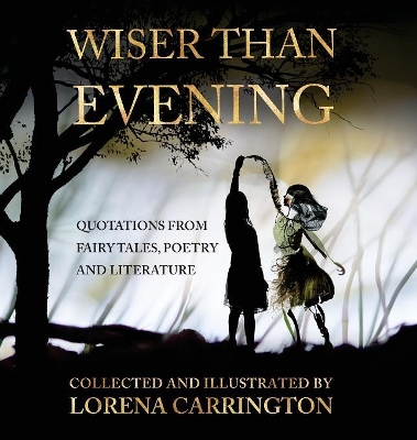 Wiser Than Evening book