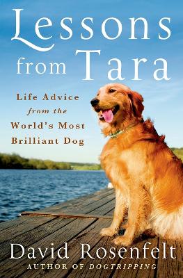 Lessons from Tara by David Rosenfelt
