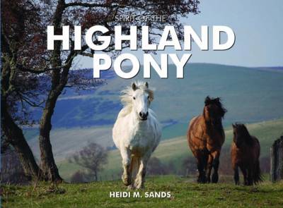 Spirit of the Highland Pony book