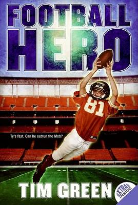 Football Hero book