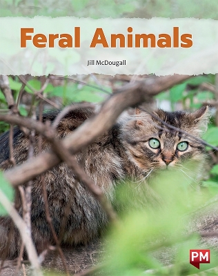 Feral Animals book