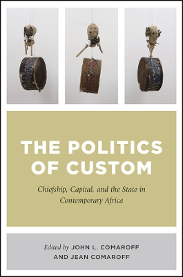 Politics of Custom book