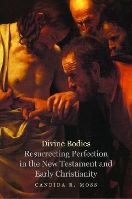 Divine Bodies: Resurrecting Perfection in the New Testament and Early Christianity book