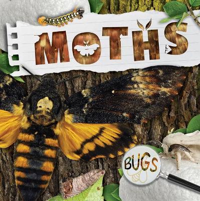 Moths by William Anthony
