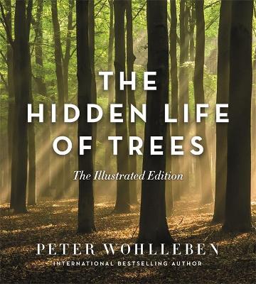 The The Hidden Life of Trees (Illustrated Edition) by Peter Wohlleben