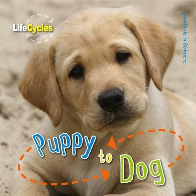Puppy to Dog book