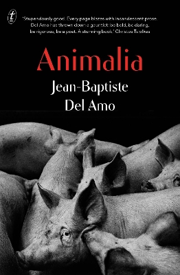 Animalia by Jean-Baptiste del Amo