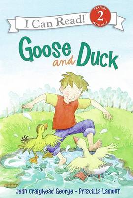 Goose and Duck book